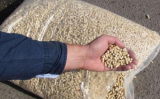 Wood Pellets for heating available for sale now